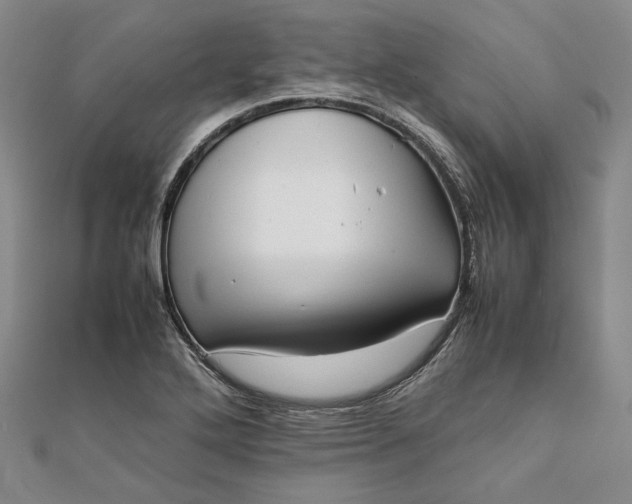 X0000111781272200908061107
