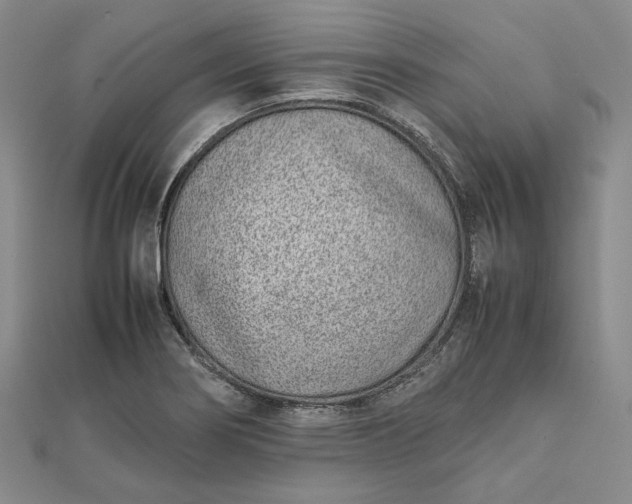 X0000111781274200908061107