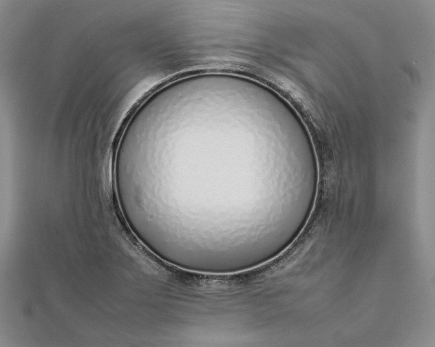 X0000111781275200908061107