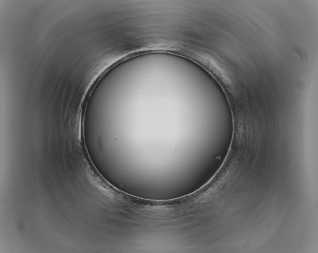 X0000111781276200908061107