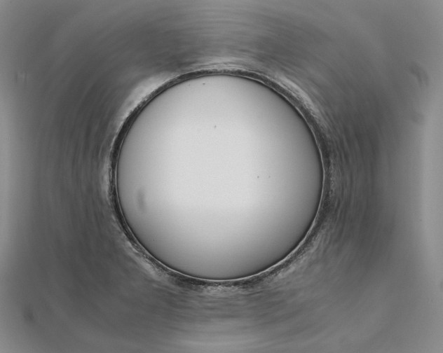 X0000111781277200908061107