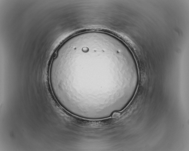 X0000111781279200908061107