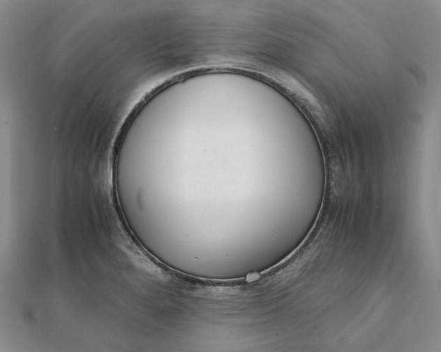 X0000111781280200908061107