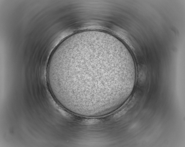X0000111781282200908061107