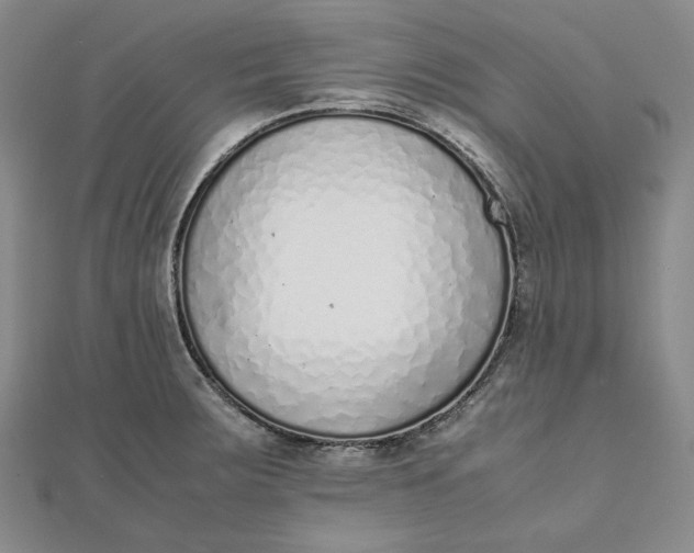 X0000111781283200908061107