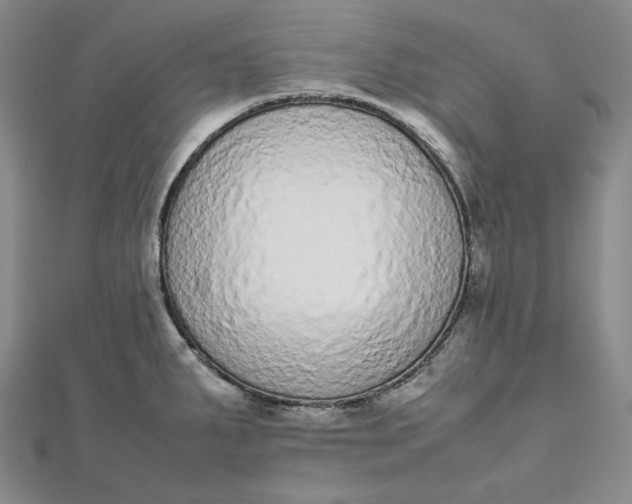 X0000111781287200908061107