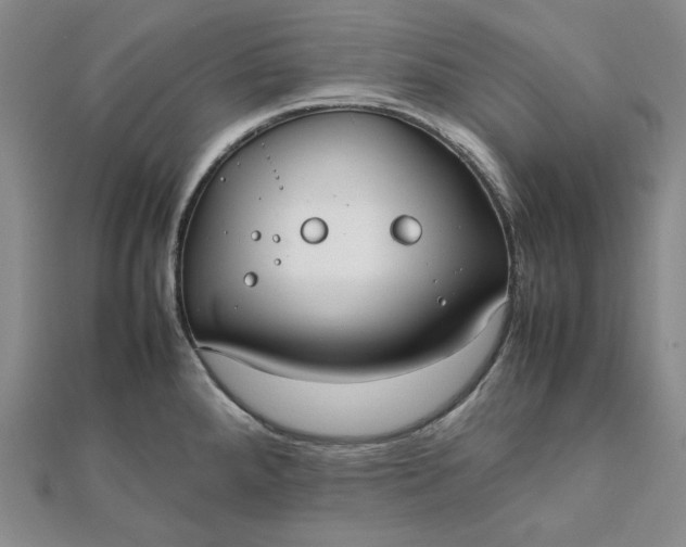 X0000111781288200908061107