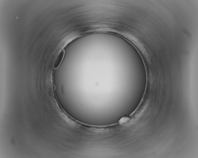X0000111781289200908061107