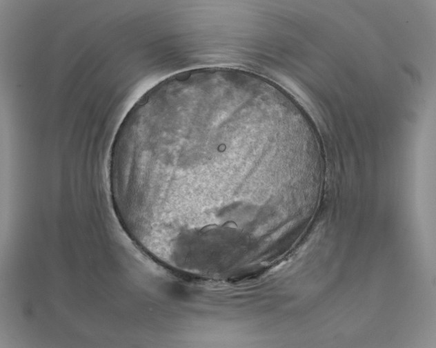 X0000111781291200908061107