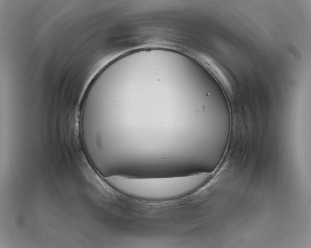 X0000111781292200908061107