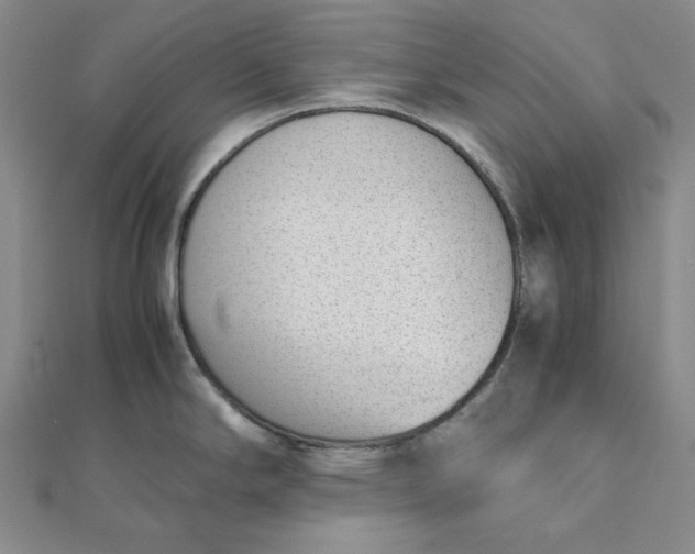 X0000111781294200908061107