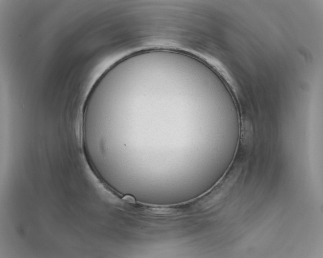 X0000111781295200908061107