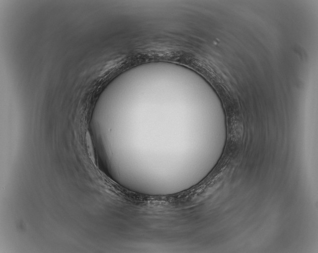 X0000111781297200908061106