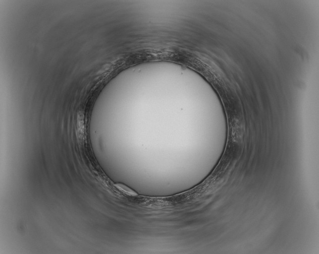 X0000111781298200908061106