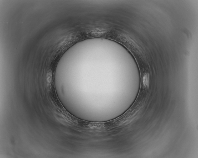 X0000111781299200908061106