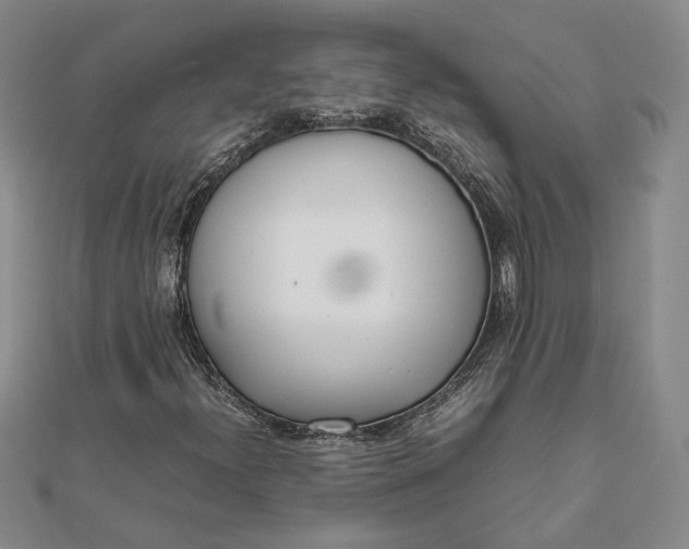 X0000111781300200908061106