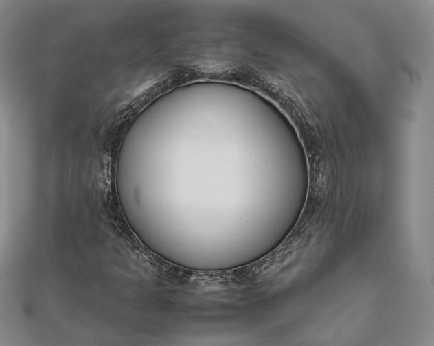 X0000111781301200908061106