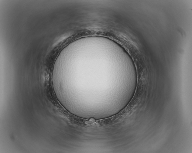 X0000111781302200908061106