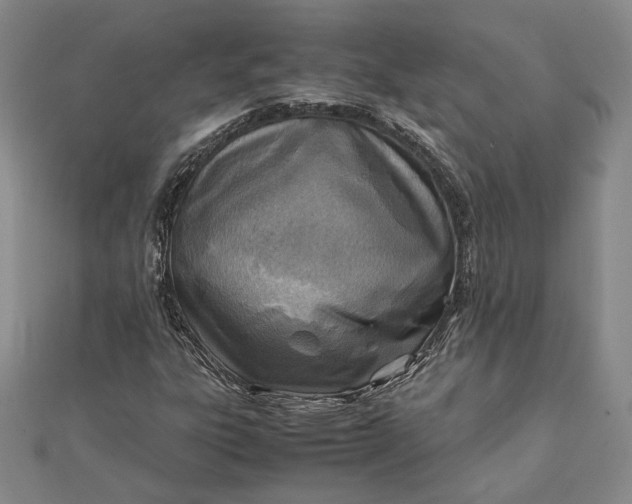 X0000111781303200908061106