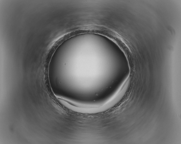X0000111781304200908061106