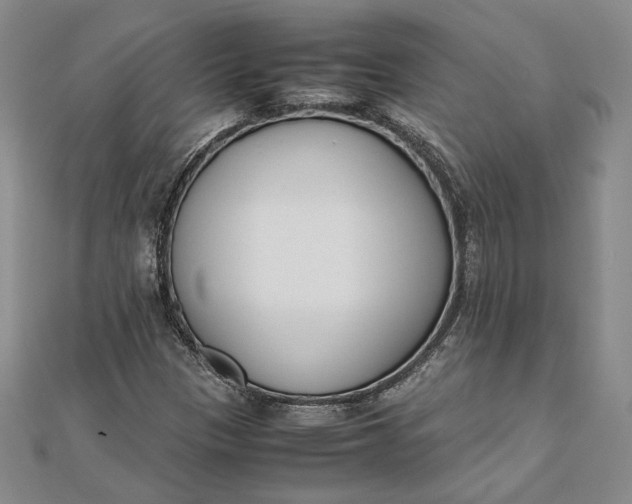 X0000111781305200908061106