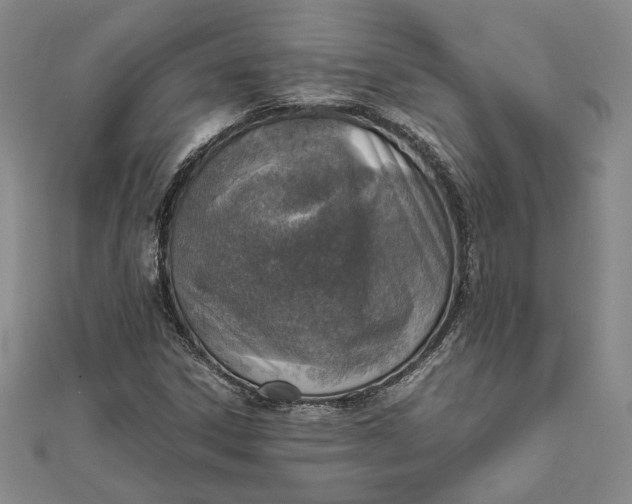 X0000111781306200908061106
