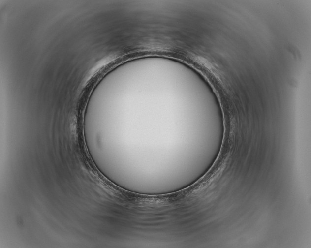 X0000111781307200908061106