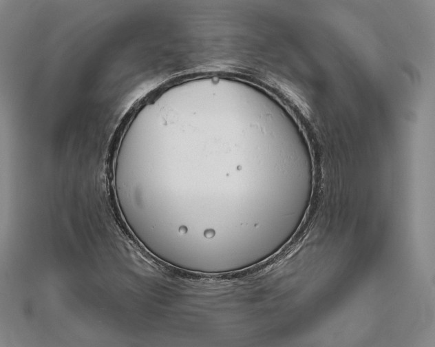 X0000111781308200908061106