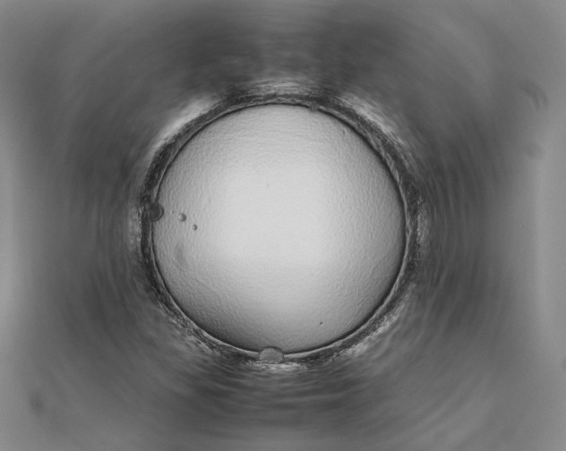 X0000111781309200908061106