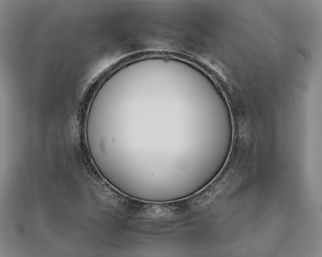 X0000111781311200908061106