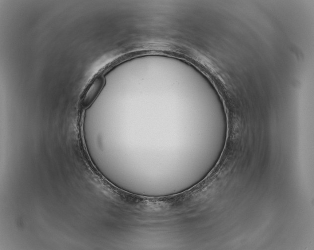 X0000111781312200908061106