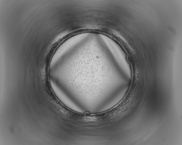 X0000111781315200908061106