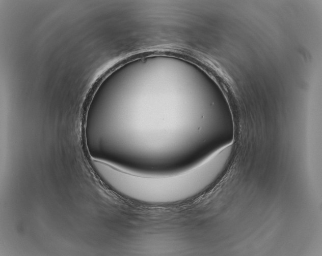 X0000111781316200908061106