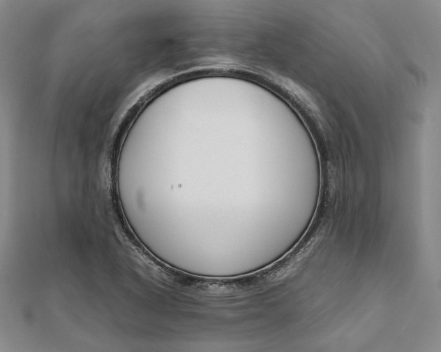 X0000111781318200908061106