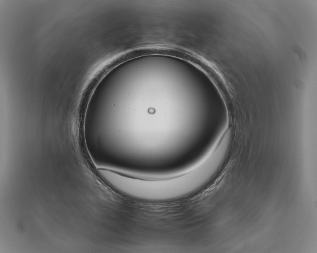 X0000111781319200908061106