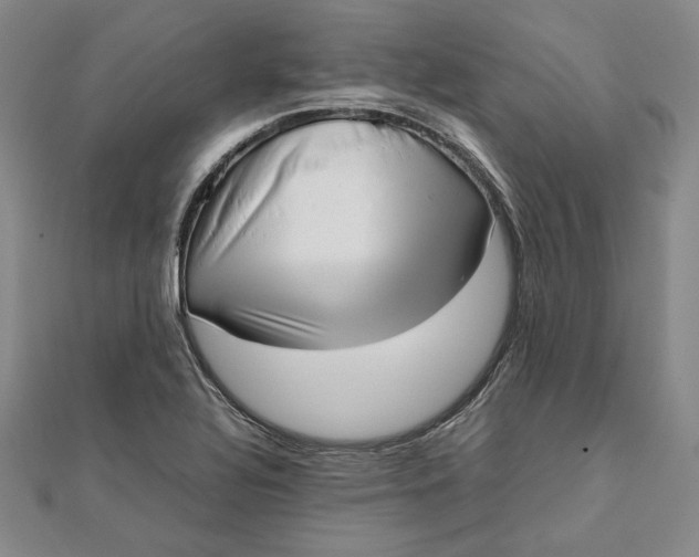 X0000111781320200908061106
