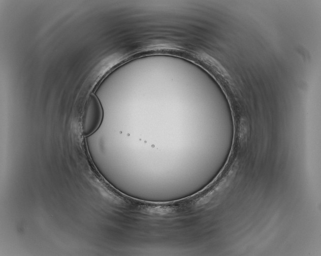 X0000111781321200908061106