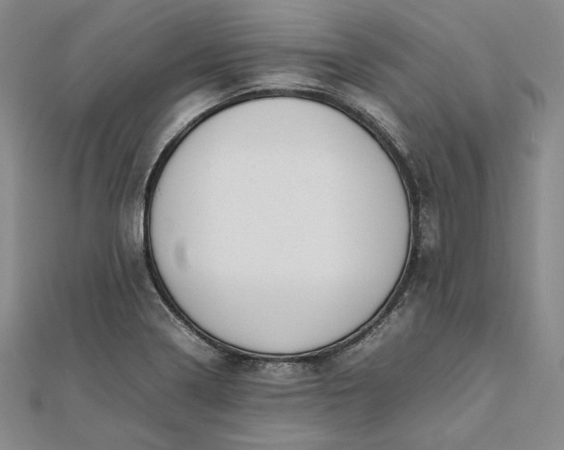 X0000111781322200908061106