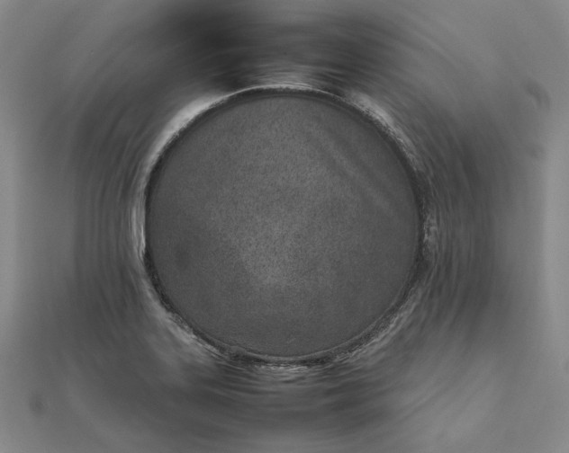 X0000111781323200908061106
