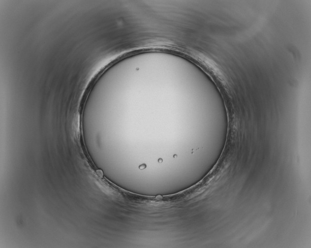 X0000111781324200908061106