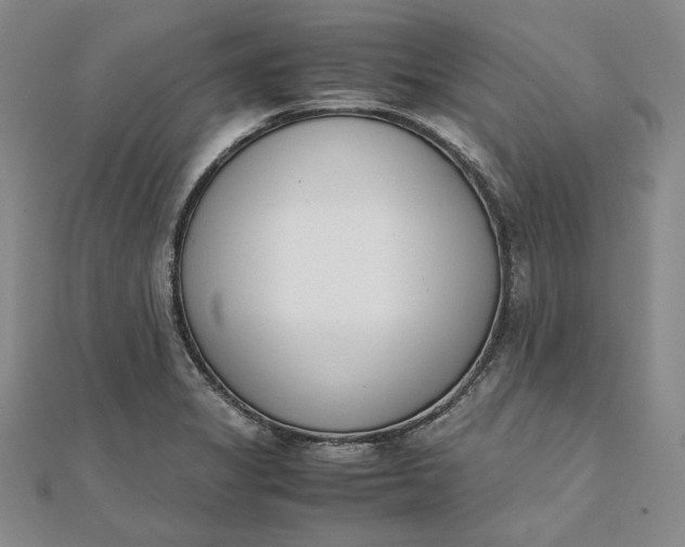 X0000111781325200908061106