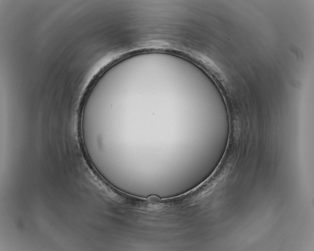 X0000111781326200908061106