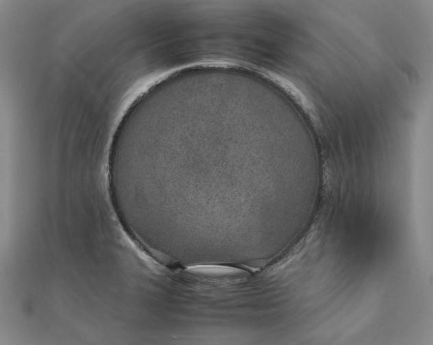 X0000111781327200908061106