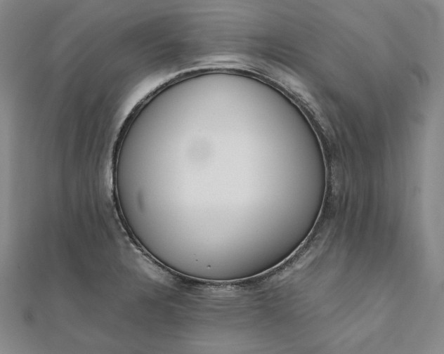 X0000111781328200908061106