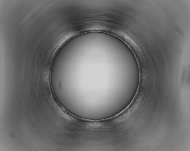X0000111781329200908061106