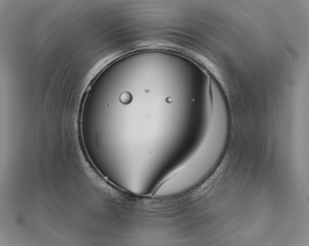 X0000111781330200908061106