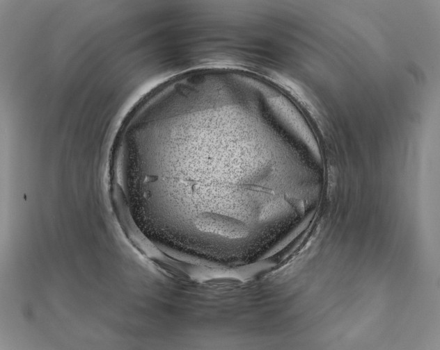 X0000111781331200908061106