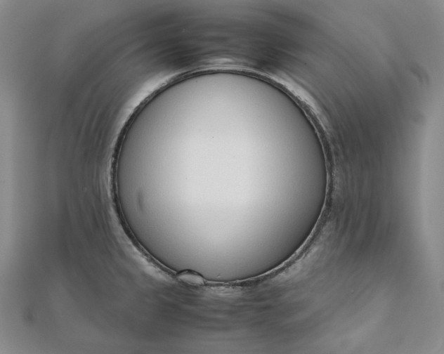 X0000111781333200908061107