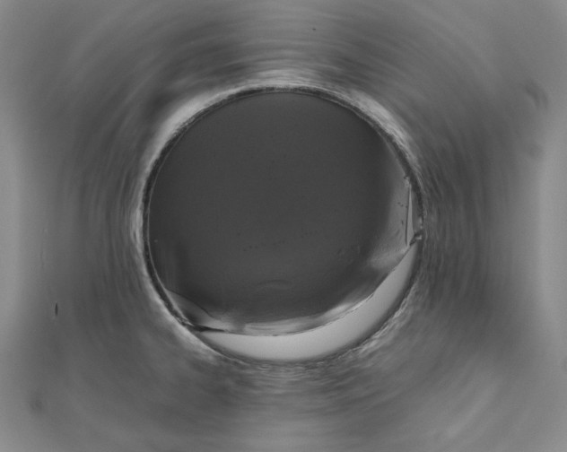 X0000111781334200908061107
