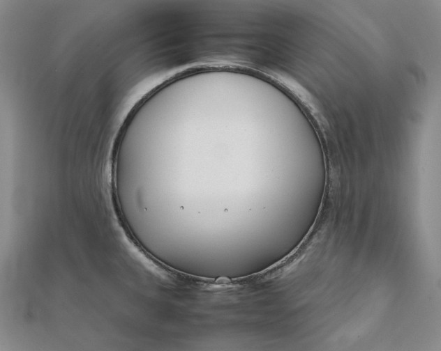 X0000111781335200908061107